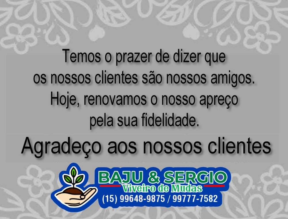 Estufa Baju &amp; Sérgio Viveiro de Mudas